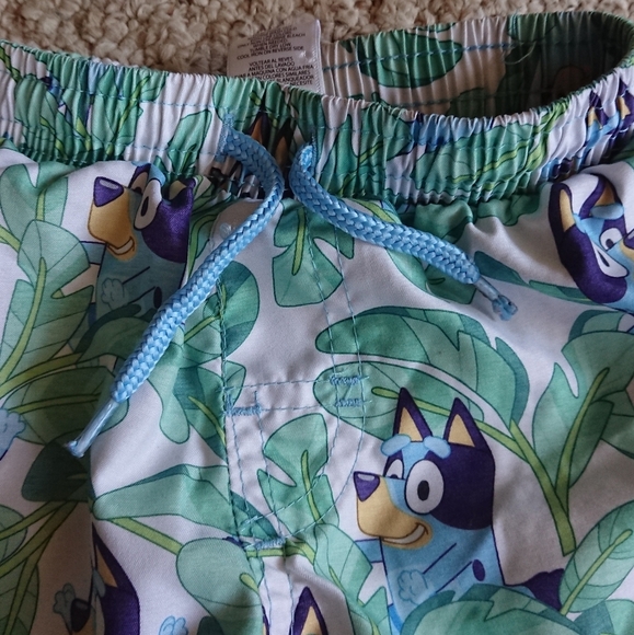 Bluey toddler boy Green swim Shorts SIZE 2T - Picture 6 of 9
